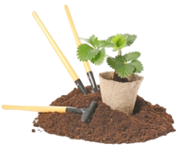 Land Design