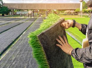 Land Design