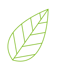 Land Design